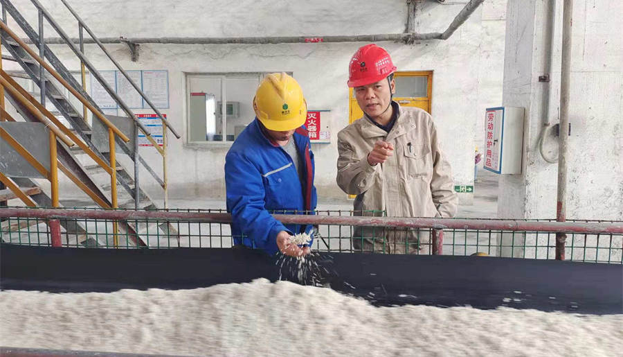 張韜(右)指導(dǎo)造粒工操作注意要點(diǎn).jpg 張韜(右)指導(dǎo)造粒工操作注意要點(diǎn).jpg